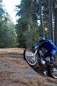 091010_osttrial_dm_185